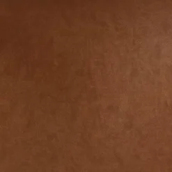 2pk Bowden Dining Chair with Arms Caramel Faux Leather - Project 62™ -Outlet Furnitures Decor Store GUEST 02f52629 0188 4088 8b4c 5ef15f70b457