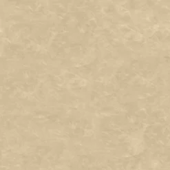 2pk Bowden Faux Leather and Metal Dining Chairs Natural - Project 62™ -Outlet Furnitures Decor Store GUEST 0d6e1b42 49a9 4398 915f e3357eb3f975