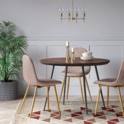 2pk Copley Velvet Dining Chair Blush Pink/Brass - Project 62™